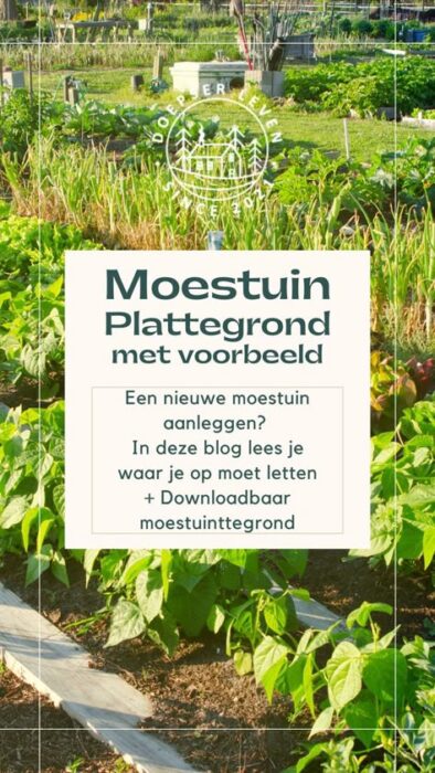 voorbeeld plattegrond moestuin-2-gratis
